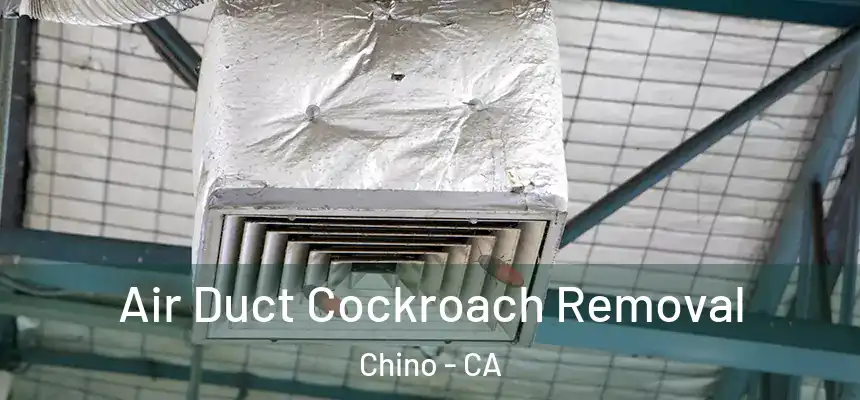 Air Duct Cockroach Removal Chino - CA