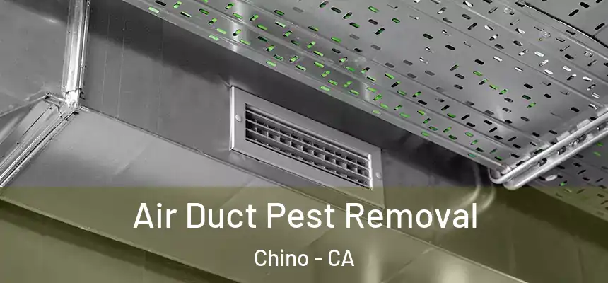  Air Duct Pest Removal Chino - CA