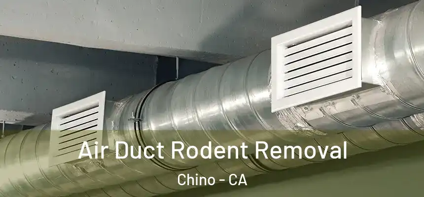  Air Duct Rodent Removal Chino - CA