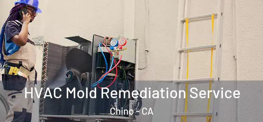 HVAC Mold Remediation Service Chino - CA