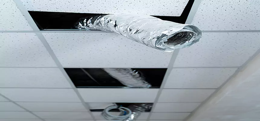 Our Air Duct Pet Hair Removal Services in Chino, CA