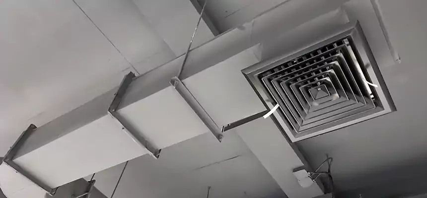 Our Pest Removal From Ducts Services in Chino, CA