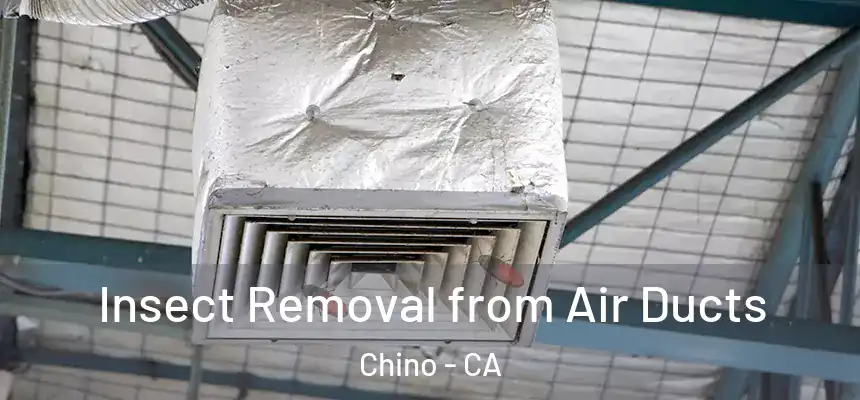 Insect Removal from Air Ducts Chino - CA