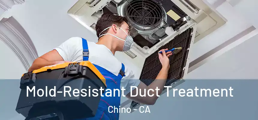  Mold-Resistant Duct Treatment Chino - CA