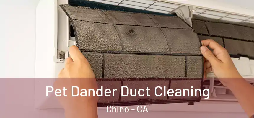  Pet Dander Duct Cleaning Chino - CA