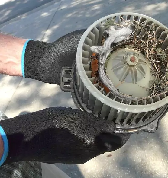 About Air Duct Rat Removal in Chino, CA