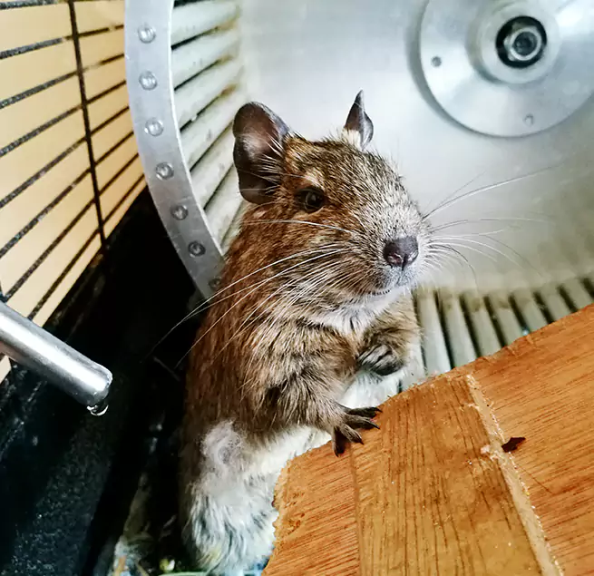 Why Homeowners & Businesses Trust Us Chino, CA?