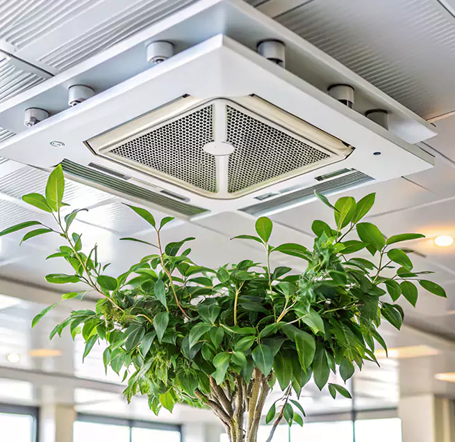 Why Homeowners & Businesses Trust Us in Chino, CA?